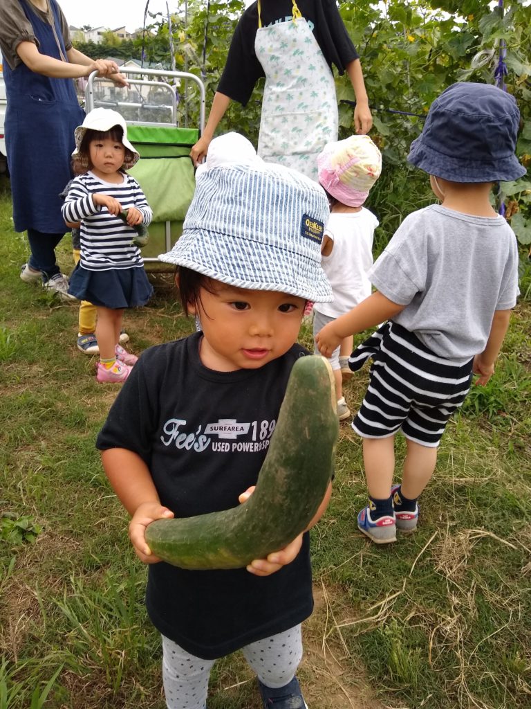 今週のまんまる(６/２８更新）