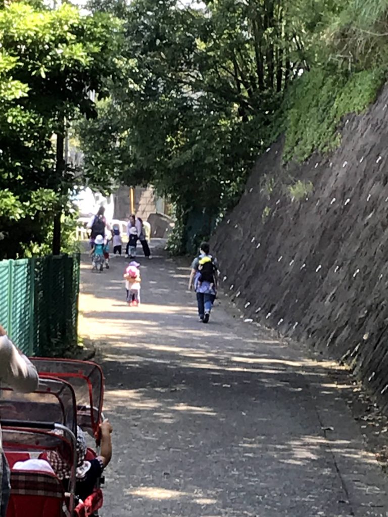 今週のまんまる