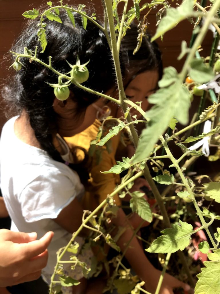 今週のまんまる　すいか割＆流しそうめん大会😃
