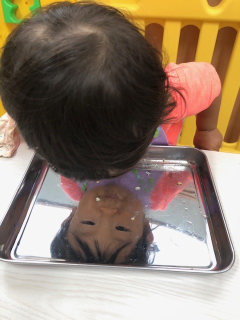 今週のまんまる