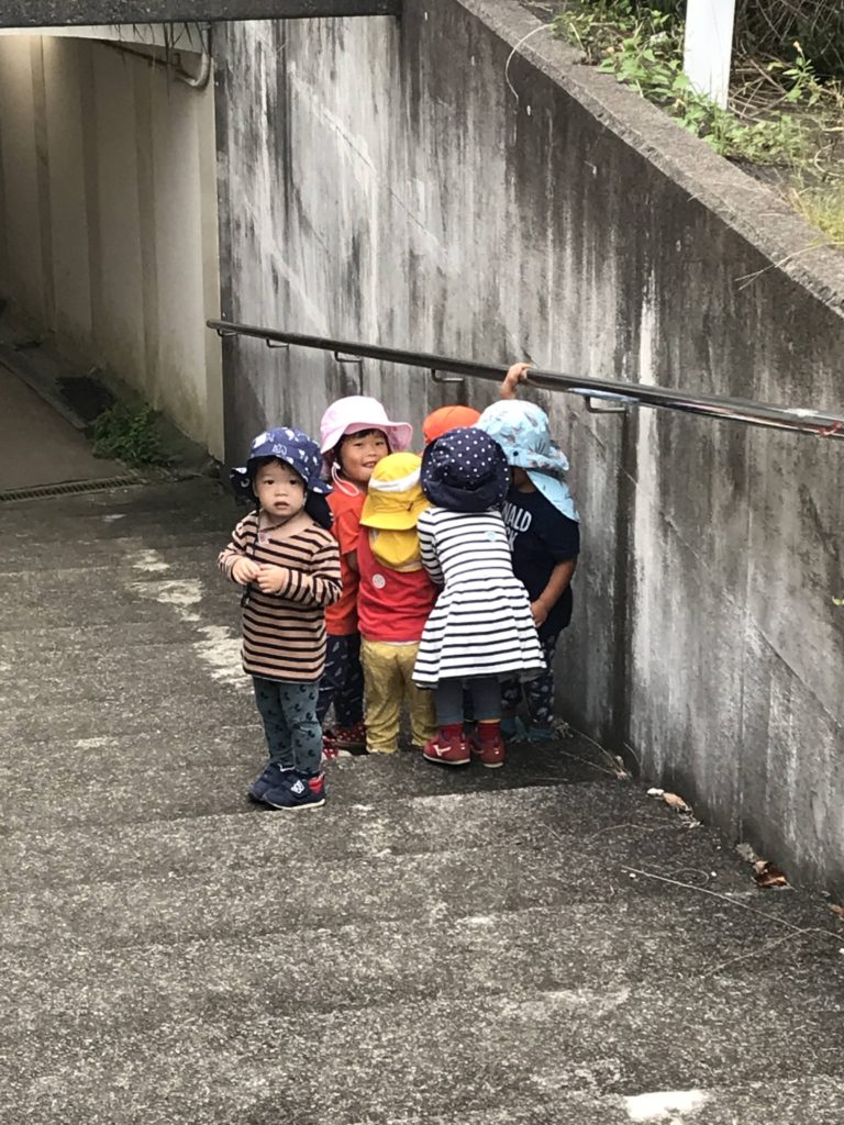 今週のまんまる