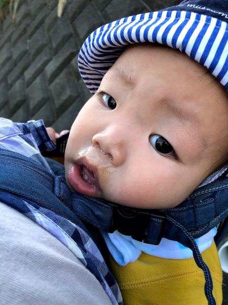 今週のまんまる