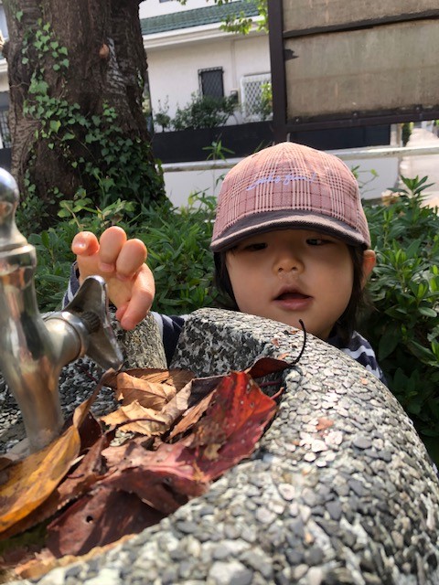 今週のまんまる