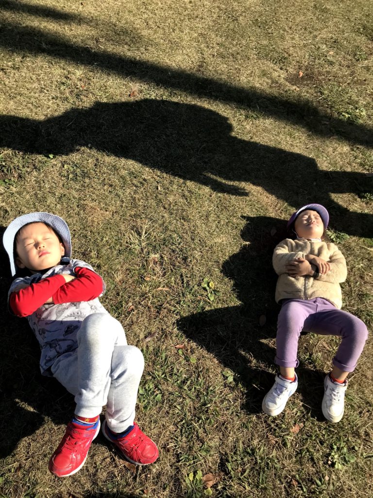 今週のまんまる