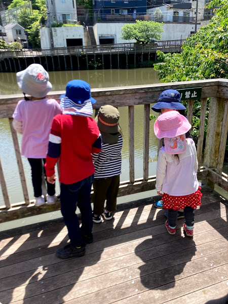今週のまんまる　お誕生日会🍰