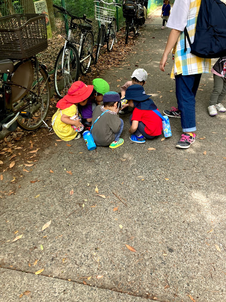 今週のまんまる