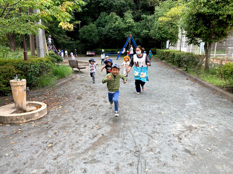 今週のまんまる