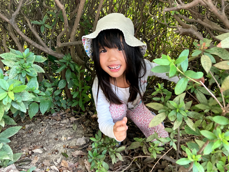 今週のまんまる保育参観