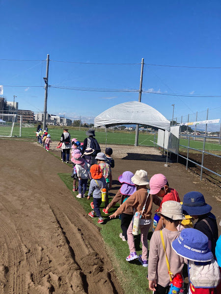 今週のまんまる