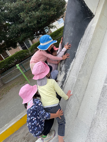 今週のまんまる　　おにぎり大会🍙ハトスタへ