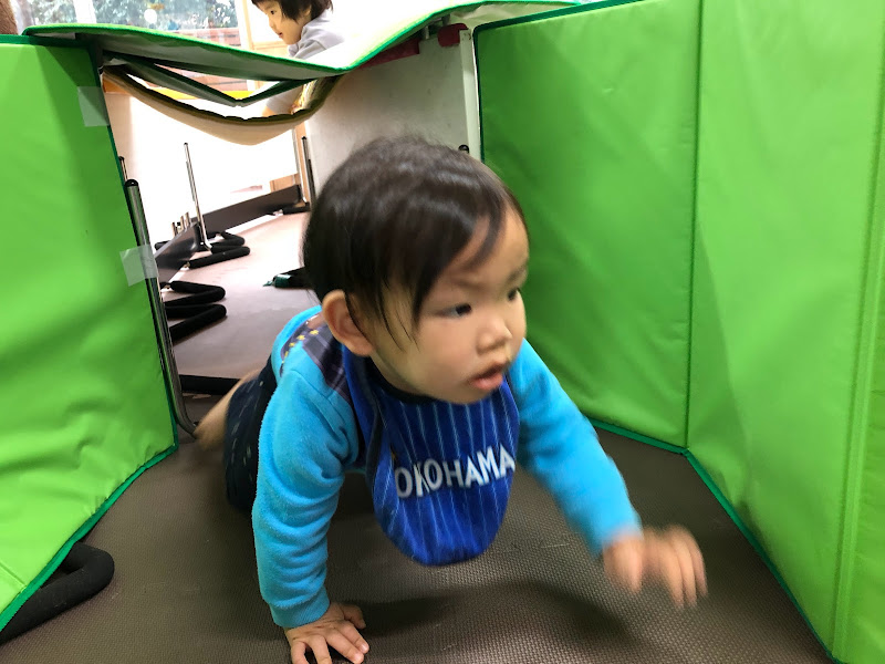 今週のまんまる