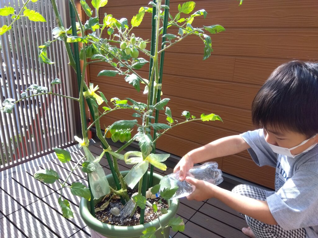 今週のまんまる　　　　　　七夕・流しそうめん大会