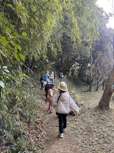 今週のまんまる