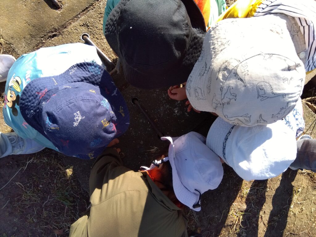 今週のまんまる