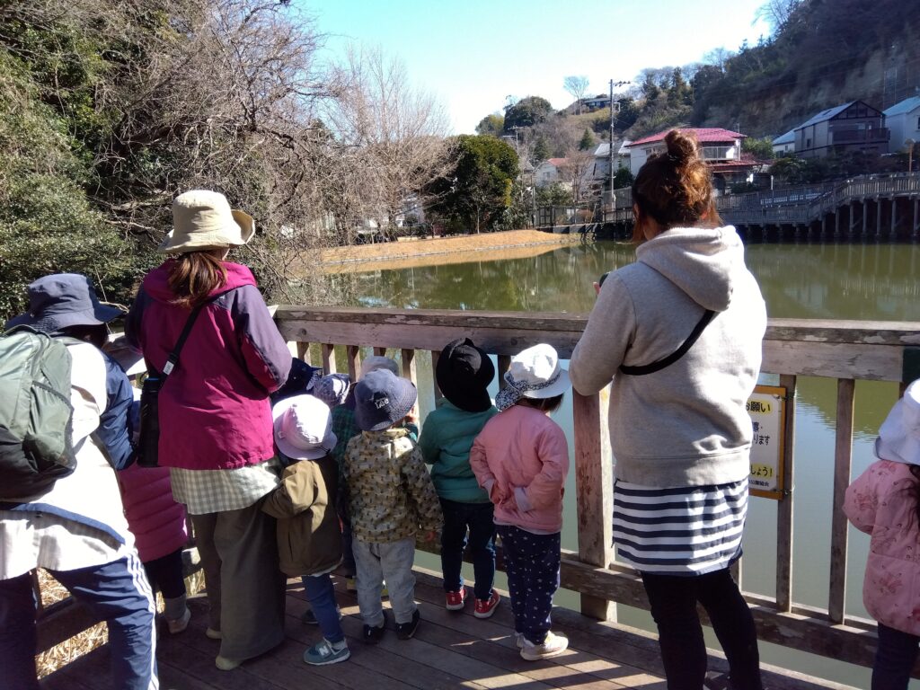 今週のまんまる