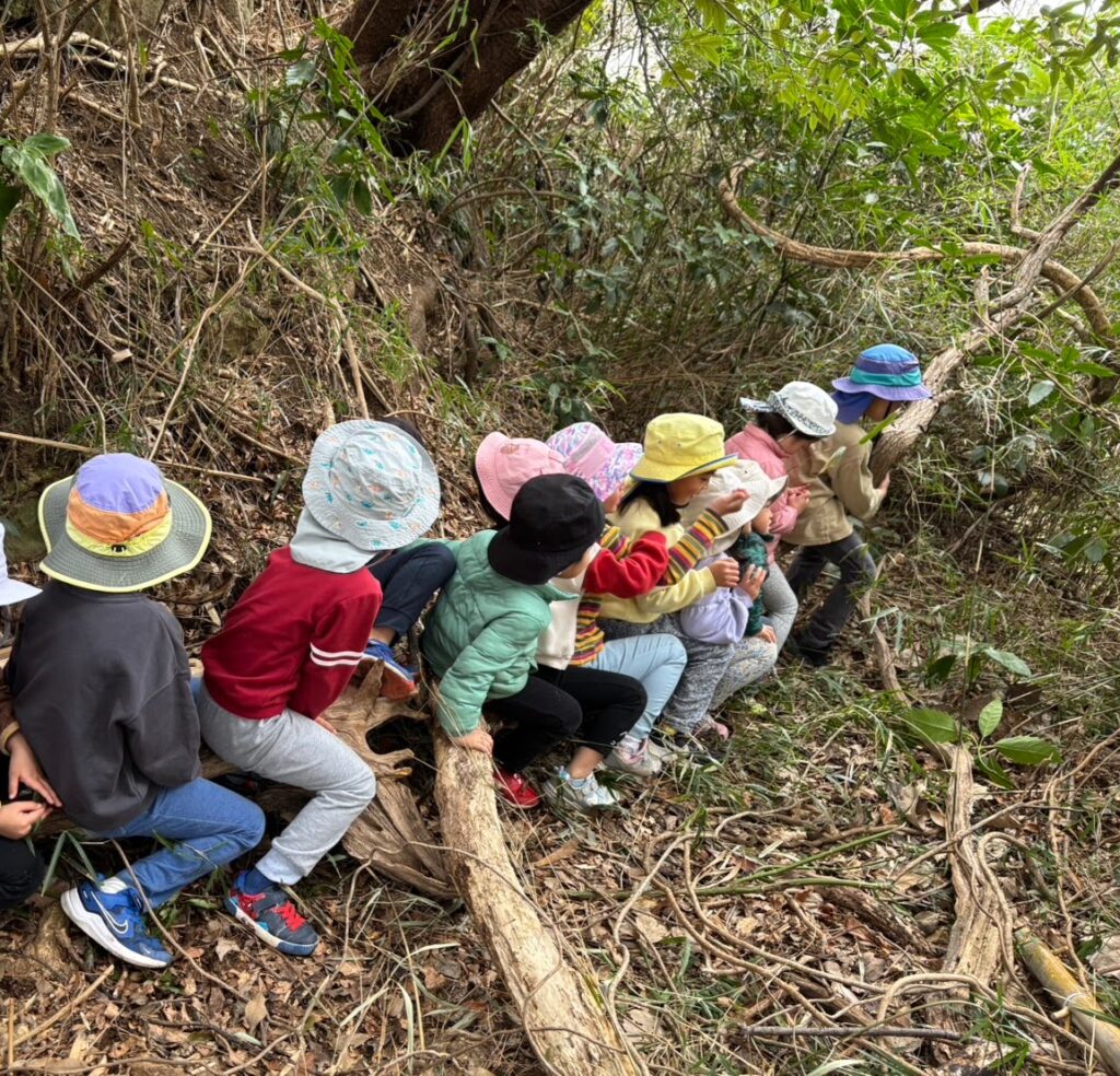 今週のまんまる😄