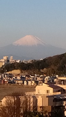 今週のまんまる