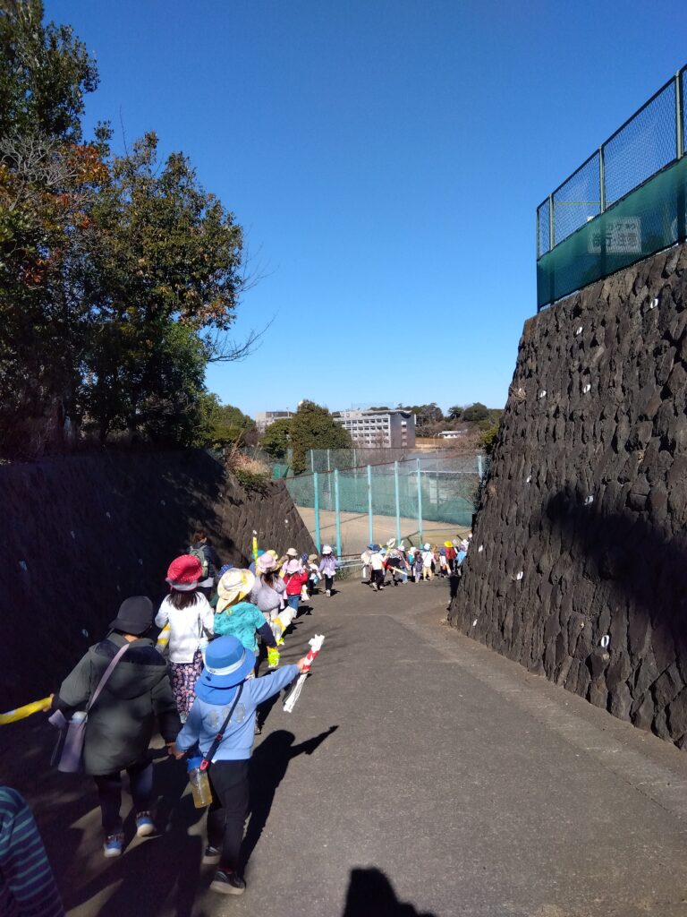 今週のまんまる