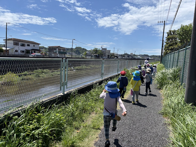 今週のまんまる