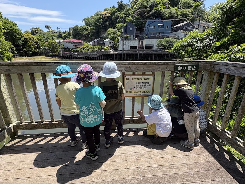 今週のまんまる
