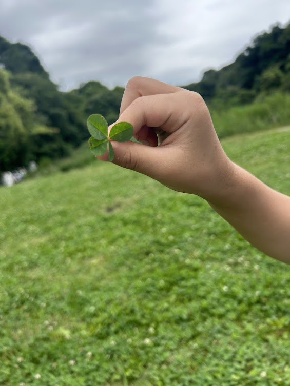 今週のまんまる🍀